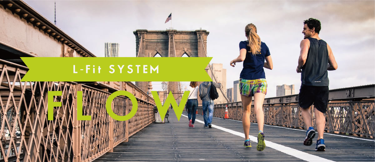 L-Fit SYSTEM flow